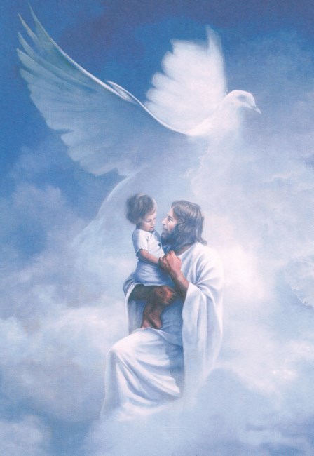 Obituary of Aiden Stephen Nelson