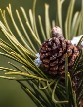 Obituary of Jeffrey Keith Stone