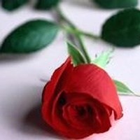 Obituary of Wiley Edward Chance