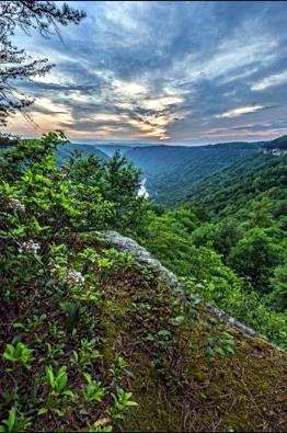 Obituary of Dwight L. Davis