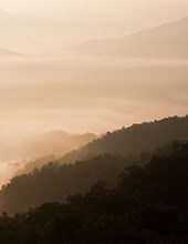 Obituary of Kathy A. Brewer