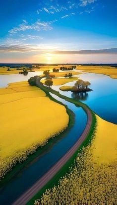 Obituario de Ruben Renteria Jr.